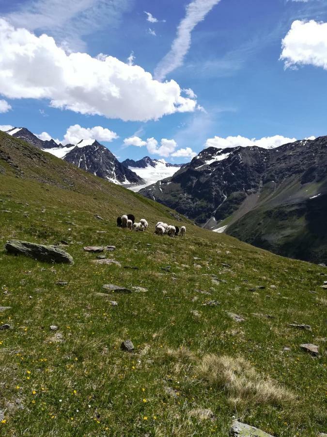 Hotel Haus Pechtl St. Leonhard im Pitztal Zewnętrze zdjęcie