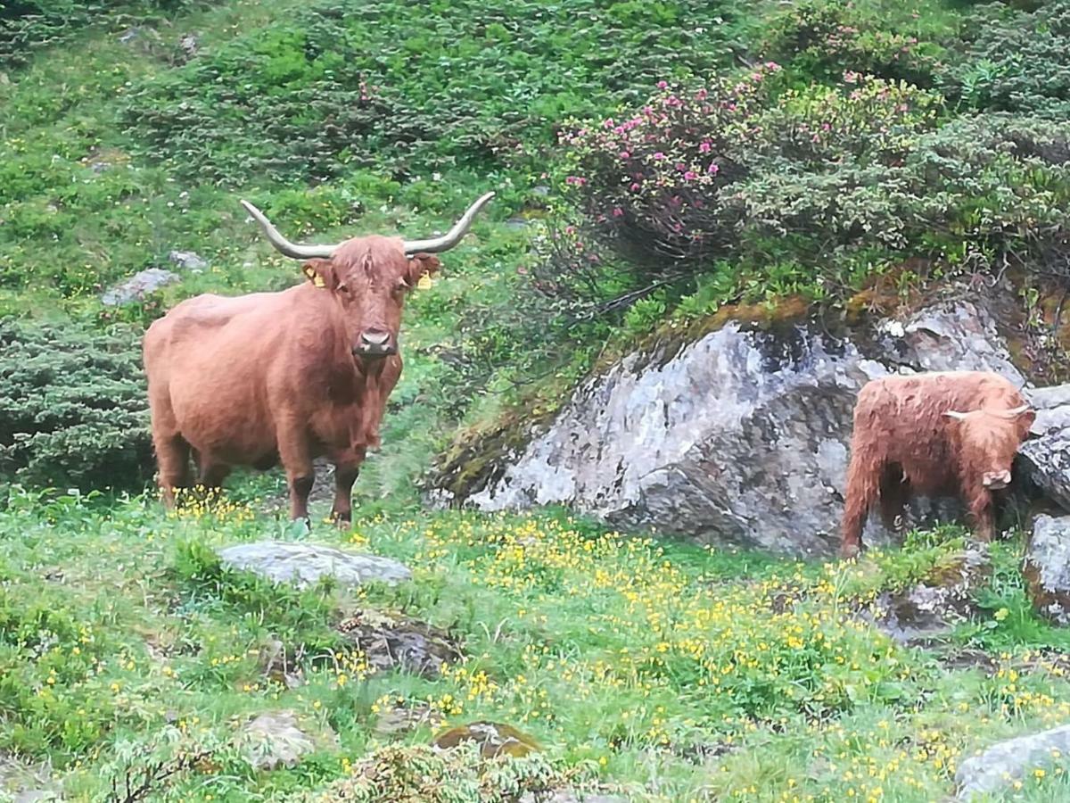 Hotel Haus Pechtl St. Leonhard im Pitztal Zewnętrze zdjęcie